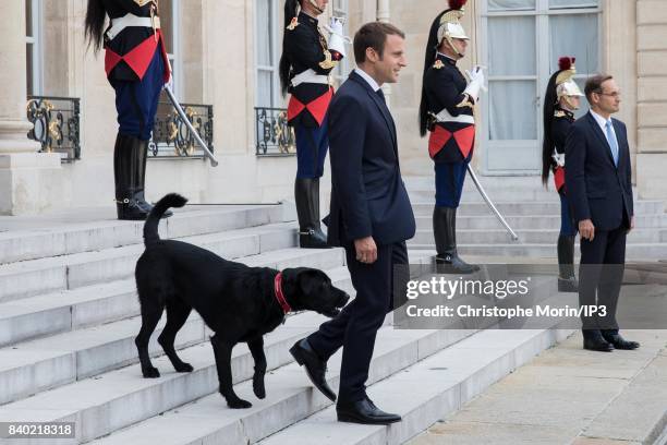 French President Emmanuel Macron and his new dog named Nemo welcome Niger's President Mahamadou Issoufou at the Elysee Palace on August 28, 2017 in...