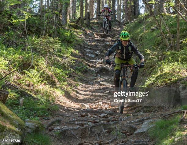 Bumpy Mtb Track 362 Bumpy Path Stock Photos, High-Res Pictures, and Images - Getty Images
