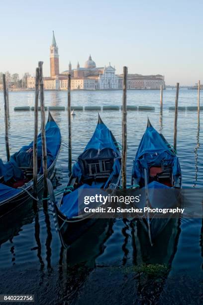 il molo di san marco - véneto bildbanksfoton och bilder