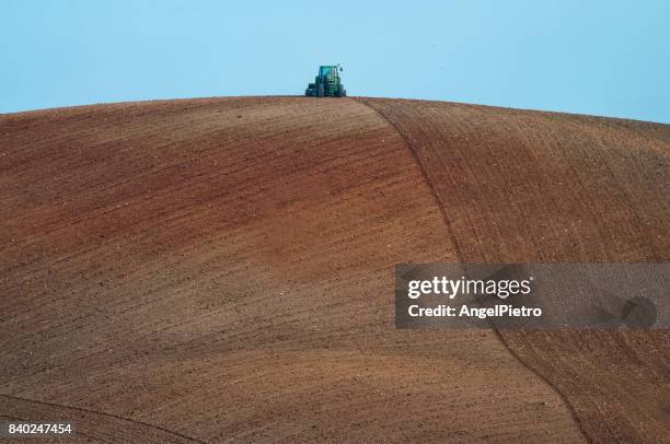 agriculture - avena stock pictures, royalty-free photos & images