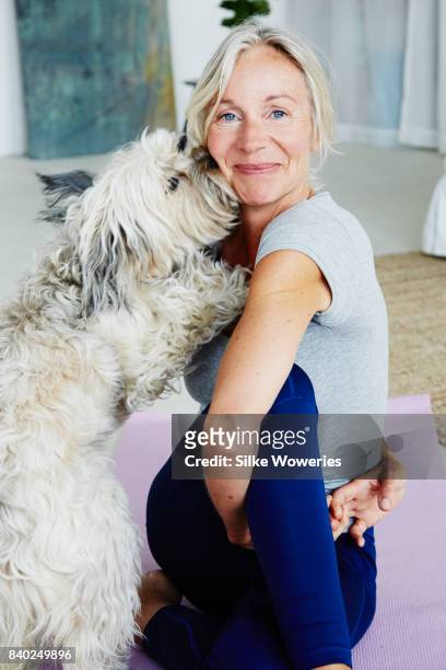 portrait of a senior woman being distracted by her dog while doing yoga at home - europeo del norte fotografías e imágenes de stock