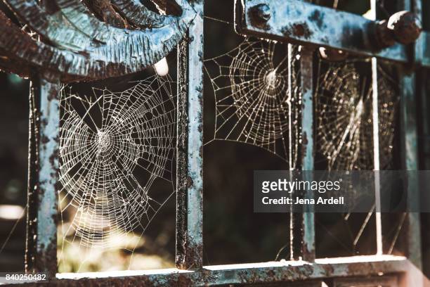 creepy cobwebs on old fence - salem massachusetts imagens e fotografias de stock