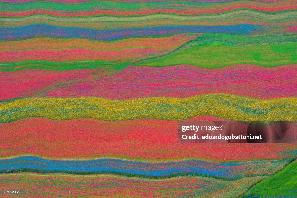 Abstract landscape 15