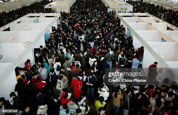 Job seekers join the crowd at a job fair for postgraduate students on December 14, 2008 in Beijing, China. Nearly 40,000 applicants competed for...