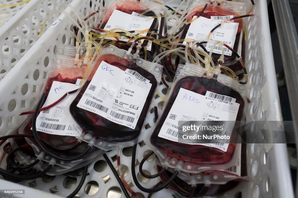 Blood Transfusion Center of Madrid
