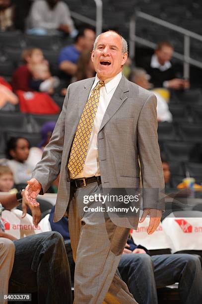 Head Coach Dan Panaggio of the Los Angeles D-Fenders looks on during the game against the Bakersfield Jam at Staples Center on December 14, 2008 in...