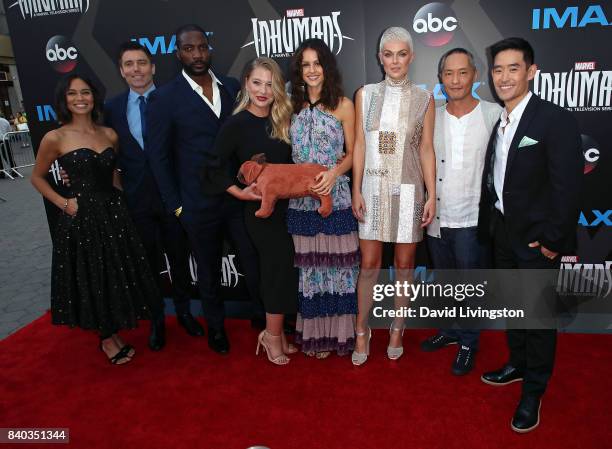 Actors Sonya Balmores, Anson Mount, Eme Ikwuakor, Ellen Woglom, Isabelle Cornish, Serinda Swan, Ken Leung and Mike Moh attend the premiere of ABC and...