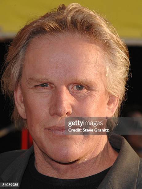 Gary Busey arrives at theWorld Premiere of "Swing Vote" at the El Capitan Theatre on July 24, 2008 in Hollywood, California.