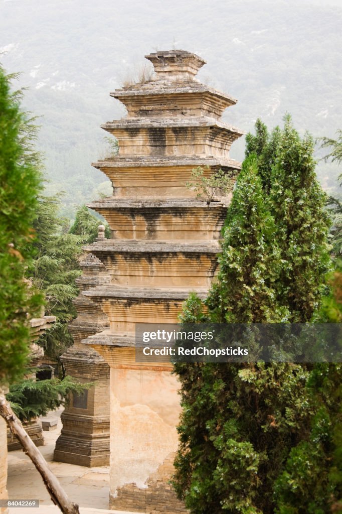 Pagodas in a forest, Pagoda Forest, Shaolin Monastery, Henan Province, China