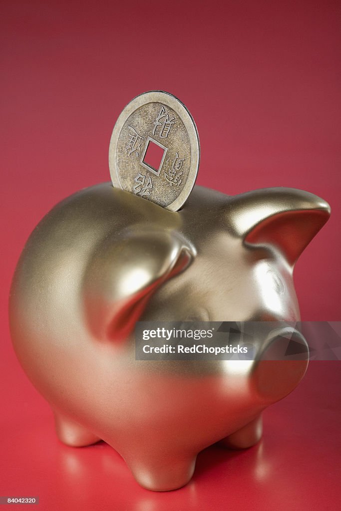 Close-up of a coin getting inserted in a piggy bank