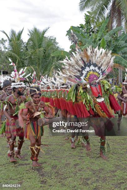 dragon dance in kopar village, sepik river, p.n.g. - sepik imagens e fotografias de stock