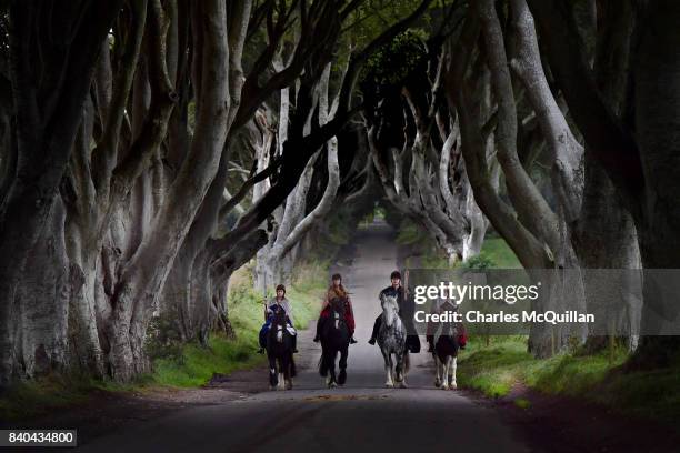 Four actors on horseback dressed in Game of Thrones related costumes carry the Queen's Baton as they make their way way along the Dark Hedges on...