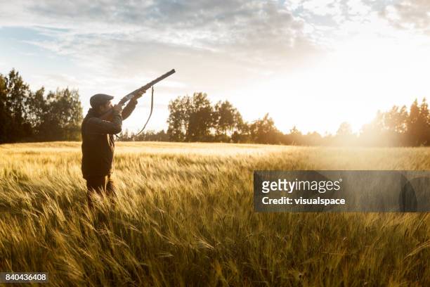 hunting at golden hour - shooting a weapon stock pictures, royalty-free photos & images