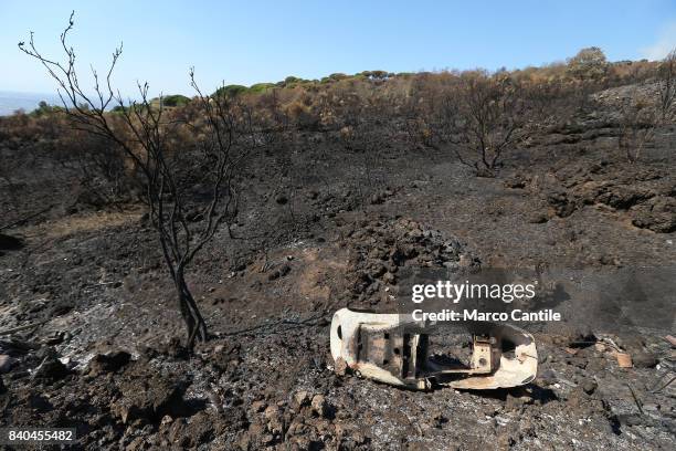 Environmental disaster on Vesuvius. After the vast fire began on eleven July what remains of the National Park of Vesuvius, only ash. The immense...