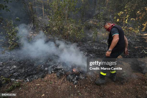 Environmental disaster on Vesuvius. After the vast fire began on eleven July what remains of the National Park of Vesuvius, only ash. The immense...