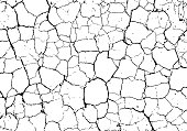 Vector cracked texture of dry earth