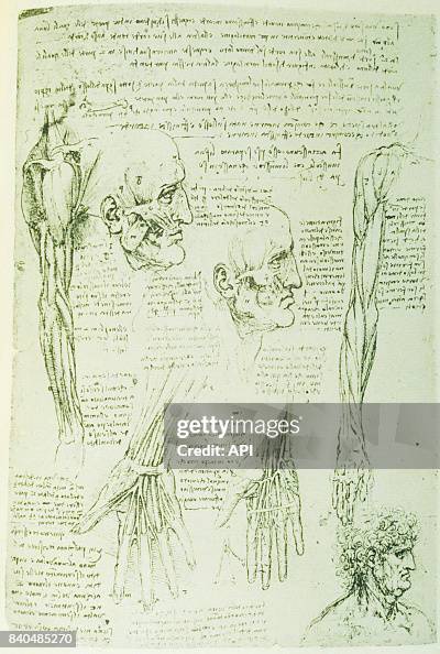 Léonard de Vinci - Croquis d'anatomie humaine - Affiche Toile Peinture Tableau Mural Decoration Salon Reproductions de Tableaux Murale Moderne, Disponible en Différentes Tailles,Avec Cadre (20 * 30 Cm Léonard de Vinci - Croquis d'anatomie humaine - Affiche Toile Peinture Tableau Mural Decoration Salon Reproductions de Tableaux Murale Moderne, Disponible en Différentes Tailles,Avec Cadre (20 * 30 Cm