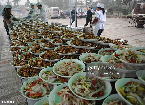 Chefs prepare dishes for residents of a village prior to a dinner held to mark the 30th anniversary of China's reform initiative on December 16, 2008...
