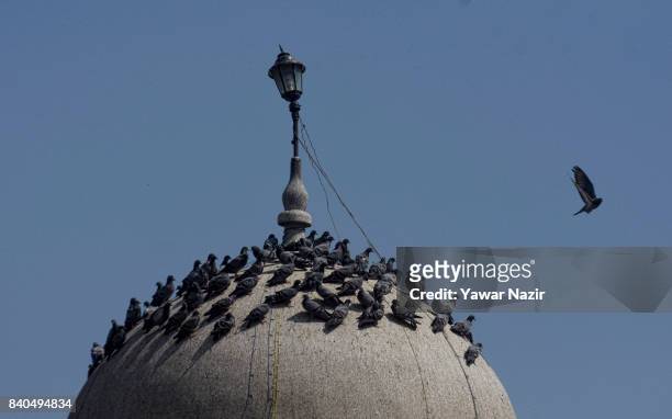 Pigeons rest on the dome of the entrance of the shrine of Khaniqahi mullah during a festival on August 29, 2017 in Srinagar, the summer capital of...