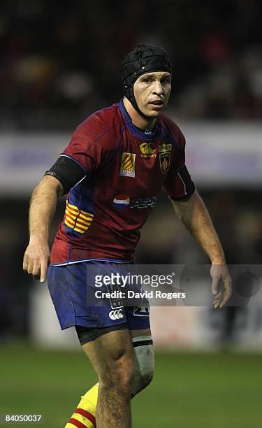 Ovidiu Tonita of Perpignan during the Heineken Cup match between Perpignan and Leicester Tigers at Stade Aime Giral on December 14, 2004 in...