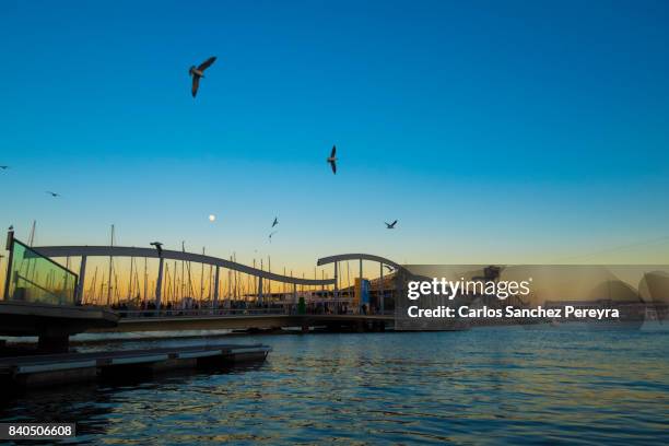 rambla del mar in the port vell in barcelona - rambla del mar stock-fotos und bilder