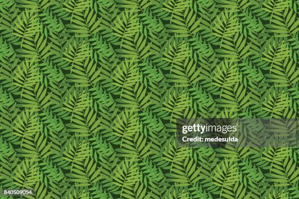 palm pattern - tree camo stock illustrations