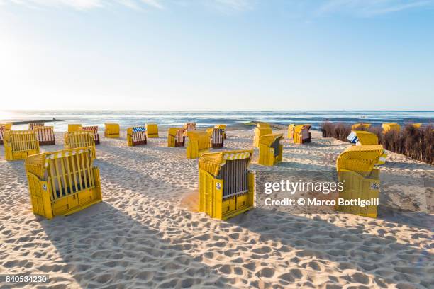 yellow strandkorb on the beach. dunen, cuxhaven, germany. - cuxhaven stock-fotos und bilder