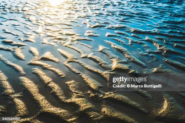 wave patterns on the sand at low tide. north sea, germany. - wattenmeer national park stock pictures, royalty-free photos & images