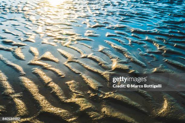 wave patterns on the sand at low tide. north sea, germany. - german north sea region bildbanksfoton och bilder