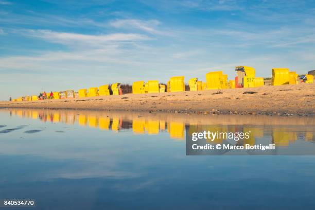 yellow strandkorb on the beach. dunen, cuxhaven, germany. - strandkorb bildbanksfoton och bilder