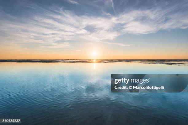 wadden sea at sunset. cuxhaven, germany - horizon over water 個照片及圖片檔