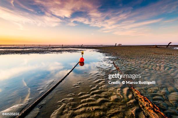 wadden sea with low tide. cuxhaven, germany - wadden sea stock pictures, royalty-free photos & images