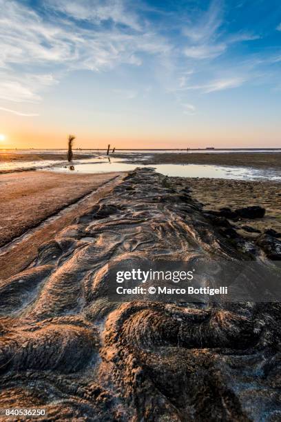 wadden sea with low tide. cuxhaven, germany - wattenmeer national park stock pictures, royalty-free photos & images