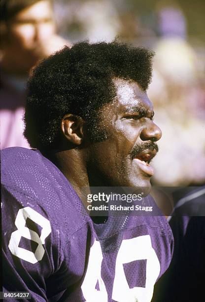 112 Minnesota Vikings Alan Page Stock Photos, High-Res Pictures, and Images  - Getty Images