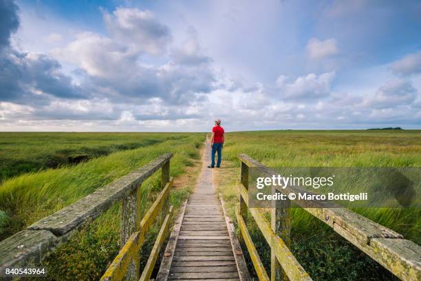 tourist on a footpath. westerhever, germany. - wattenmeer national park stock pictures, royalty-free photos & images