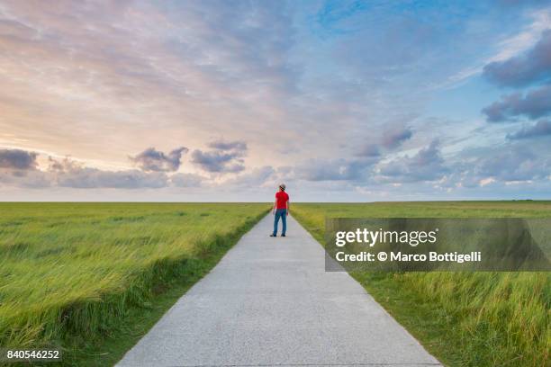 tourist on a footpath. westerhever, germany. - north frisia stock pictures, royalty-free photos & images