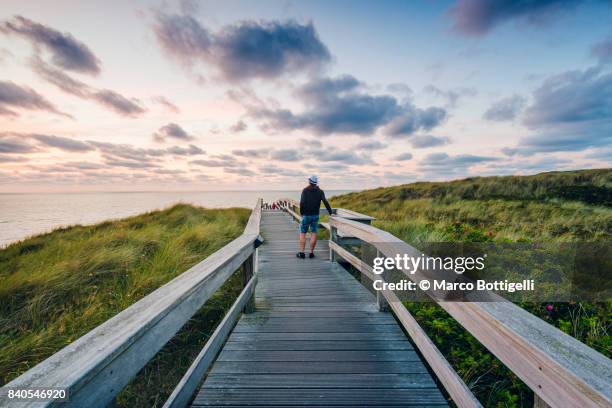 tourist on a walkway at sunset. sylt island. germany. - north frisia stock pictures, royalty-free photos & images