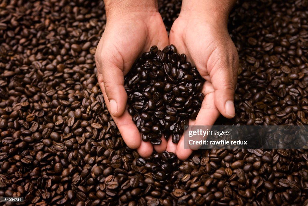 HANDS HOLDING COFFEE BEANS