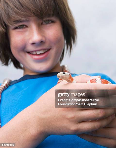 reptiles and kids - corn snake stockfoto's en -beelden