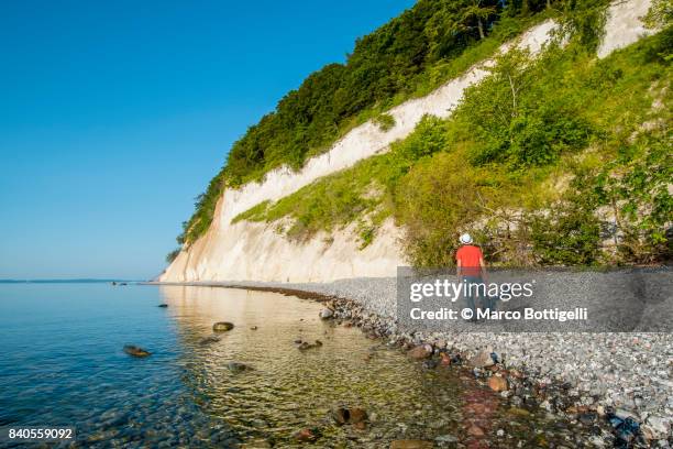 chalk cliffs, jasmund national park, rugen island, germany. - carbonato di calcio foto e immagini stock