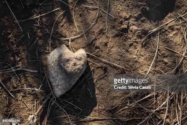 heart shaped stone - silvia casali fotografías e imágenes de stock
