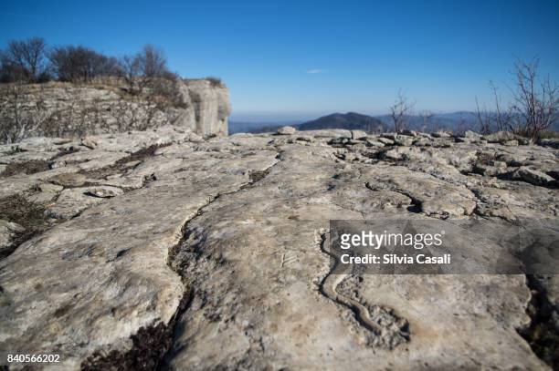 snake carved on a stone path - silvia casali stock-fotos und bilder
