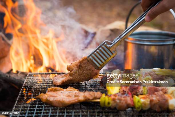 barbecue in the campground - grill fire meat stock pictures, royalty-free photos & images