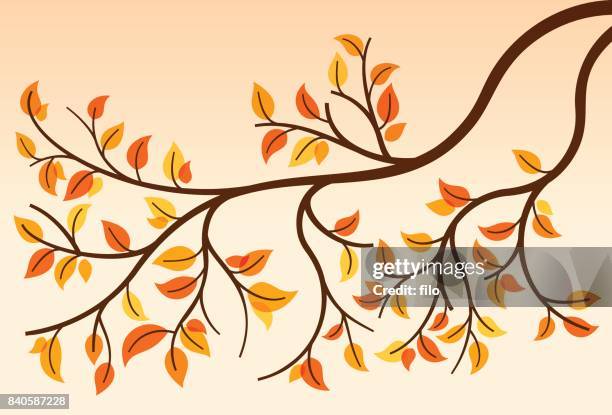 autumn branch - foliate pattern stock illustrations