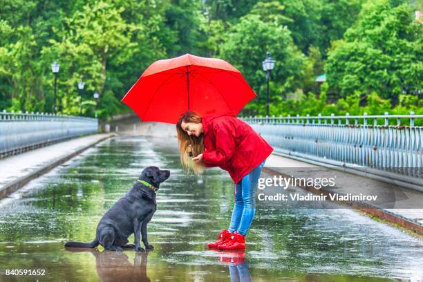 mooi meisje met paraplu praten met een hond - white and black women and umbrella stockfoto's en -beelden