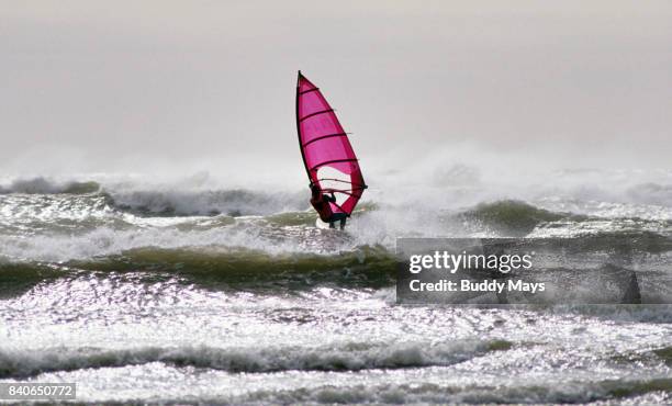 windsurfer, rockport, texas - rockport texas stock-fotos und bilder