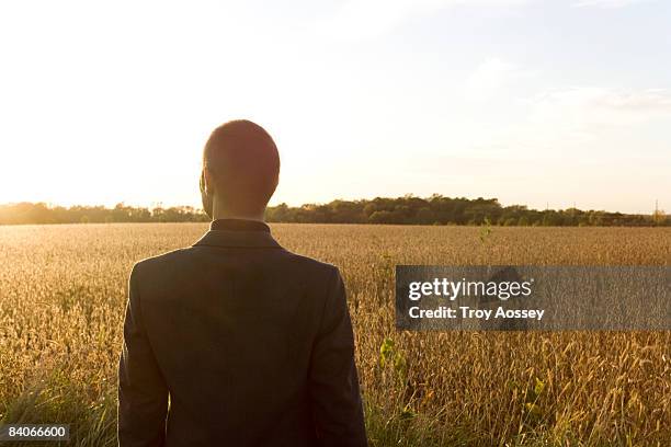 man looking across field at sunset - cedar rapids photos et images de collection