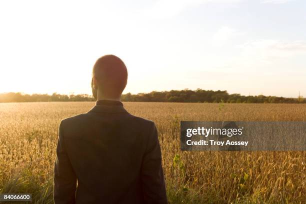 man looking across field at sunset - cedar rapids bildbanksfoton och bilder