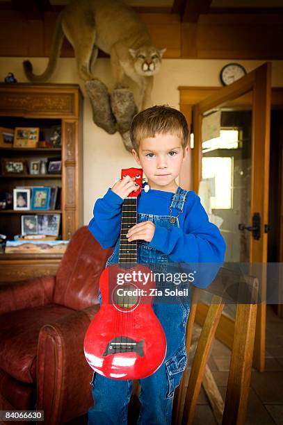 4 year old poses with his ukelele & mountain lion - taxidermy lion stock pictures, royalty-free photos & images