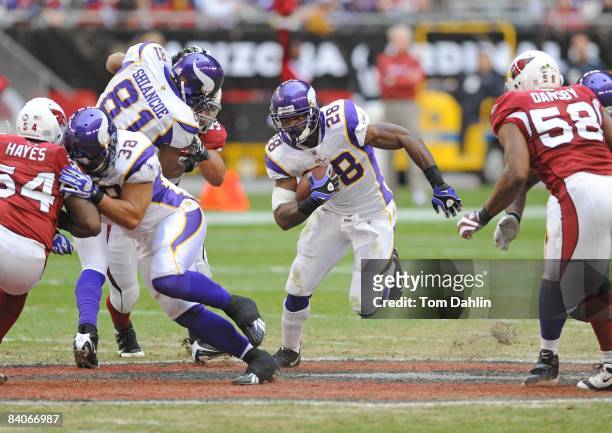 Adrian Peterson of the Minnesota Vikings carries the ball in an NFL game against the Arizona Cardinals on December 14, 2008 at the University of...